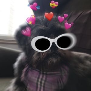 Meet your Posher, Julianne